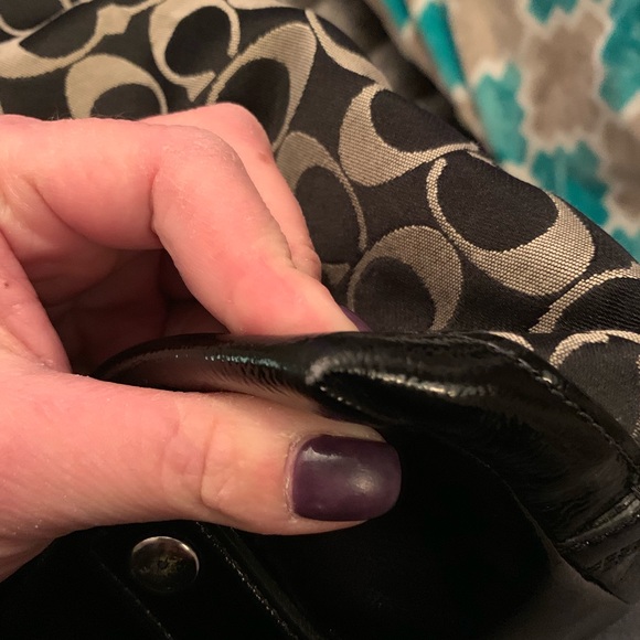 Coach - Picture 7 of 8